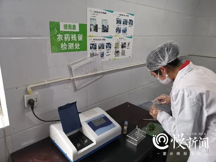 农业农村部关于印发2024年兽药质量监督抽检和风险监测等3个计划的通知(图1)