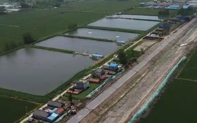 水产养殖农药残留：磷、余氯、氨氮、硫(图1)