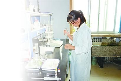 农药残留检测主要检测什么呢？基本步骤、方法和标准有哪些？(图1)