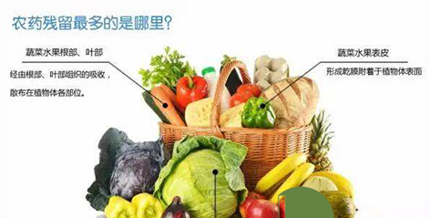标准检测研究院 13种农药残留检验常用方法(图1)