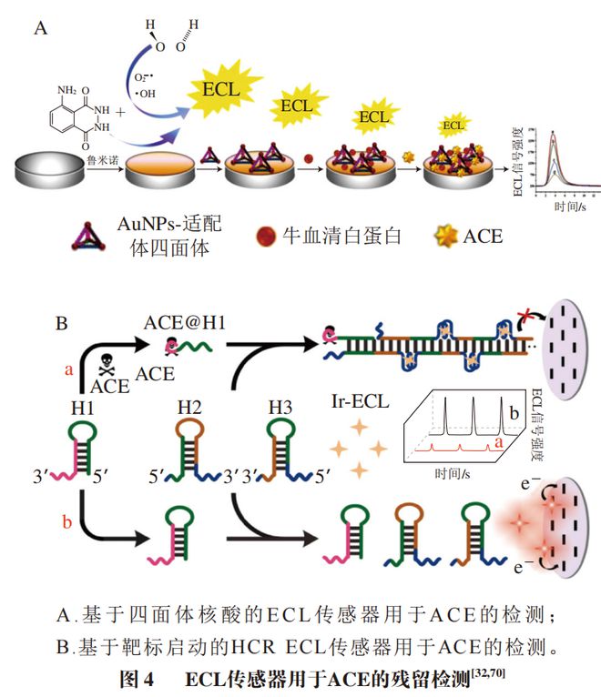 《食品科学》：湖北中医药大学孙忠月副教授等：生物传感器在新烟碱类农药残留检测中的应用研究进展(图3)