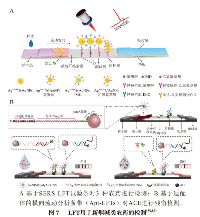 《食品科学》：湖北中医药大学孙忠月副教授等：生物传感器在新烟碱类农药残留检测中的应用研究进展(图5)