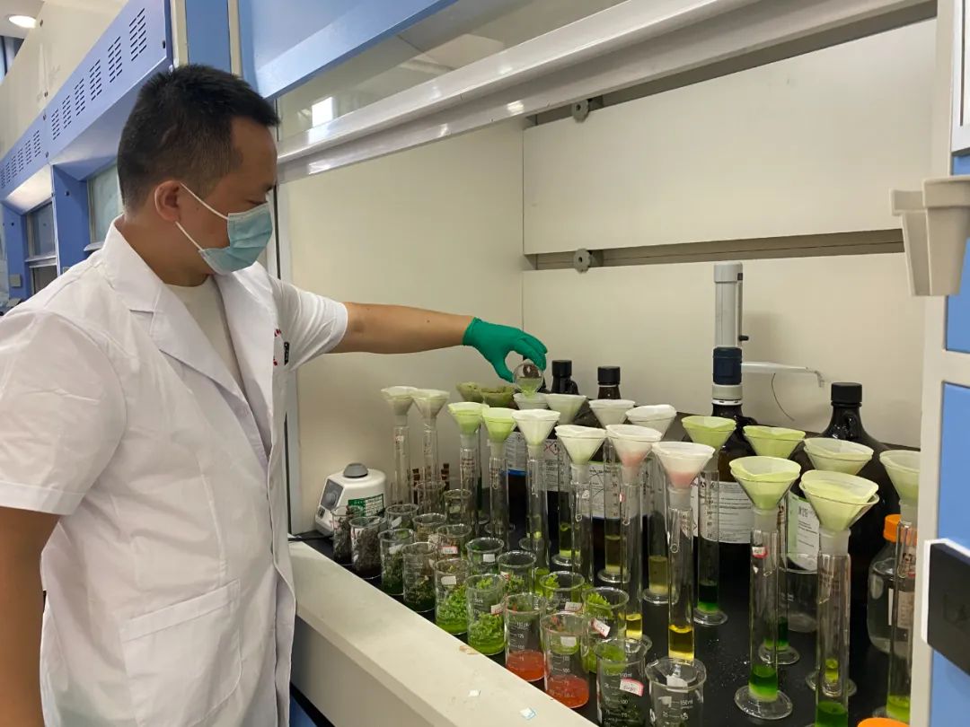 陕西通报春节期间5批次不合格食品涉蔬菜水果农药残留超标等(图1)