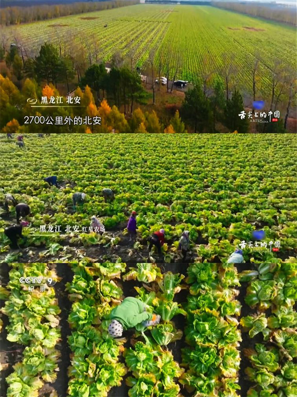 亚冬会正式开幕！北大荒亲民有机带你寻味尔滨(图3)