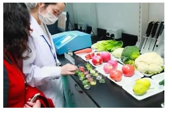 江西省植保植检站正式挂牌成立(图1)
