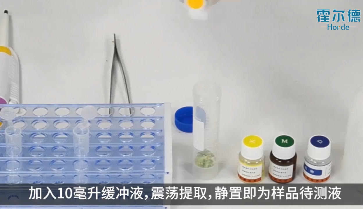 赤壁一合作社荣获“全国巾帼文明岗”称号(图1)