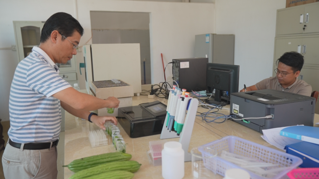 【年关守护（2025）】 株洲：深入商超开展食品销售环节专项检查(图1)