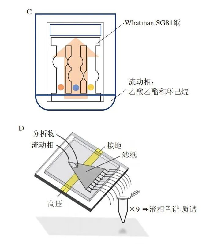 《食品科学》：西北农林科技大学张敏副教授等：纸基微流控电化学芯片检测农药残留的研究进展(图8)