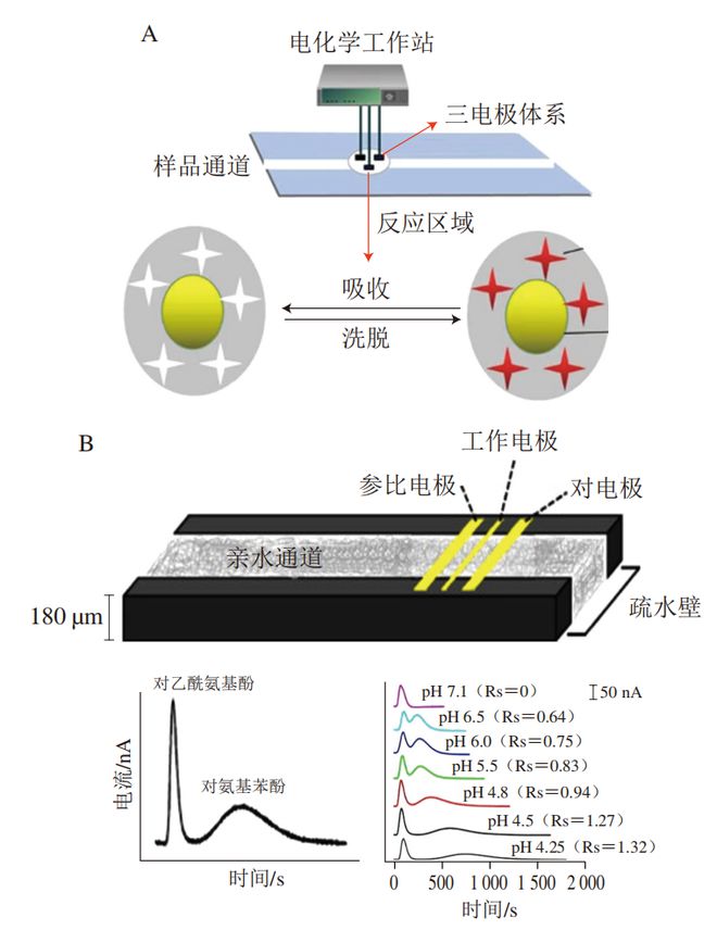 《食品科学》：西北农林科技大学张敏副教授等：纸基微流控电化学芯片检测农药残留的研究进展(图7)