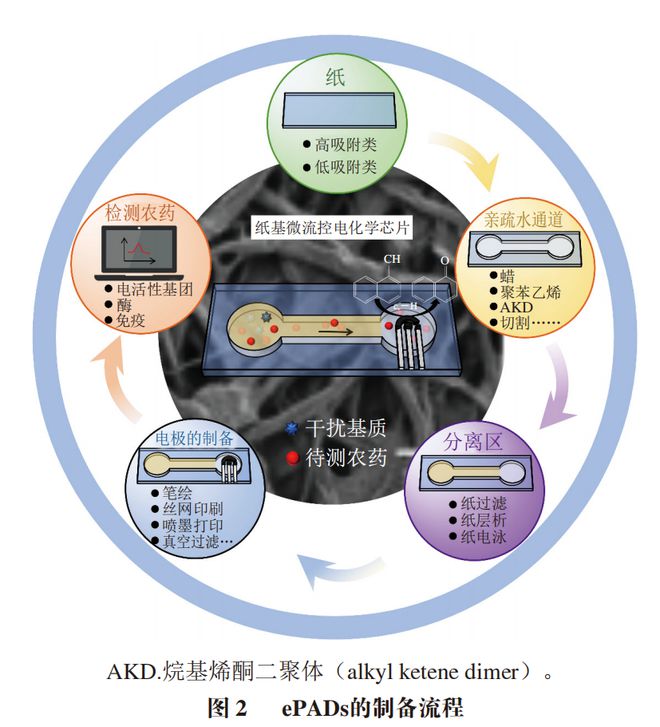 《食品科学》：西北农林科技大学张敏副教授等：纸基微流控电化学芯片检测农药残留的研究进展(图2)