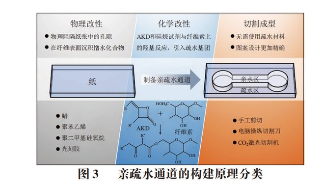 《食品科学》：西北农林科技大学张敏副教授等：纸基微流控电化学芯片检测农药残留的研究进展(图6)