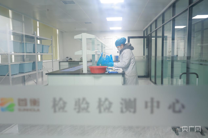 政企携手保供稳价 筑牢“菜篮子”安全防线(图2)