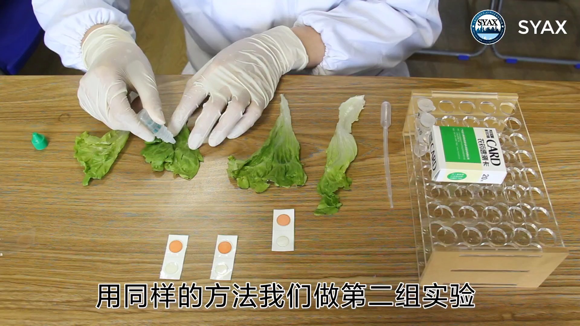 “热带水果自由”要来了(图1)