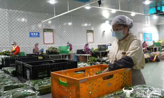 湖北移动打造食品安全AI监管新范式 守护市民“菜篮子”(图2)