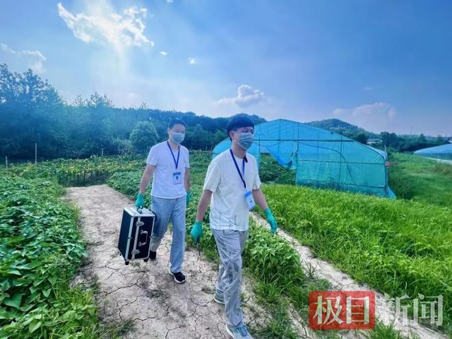 赤壁检测助农：共筑农产品安全防线助力乡村振兴显担当(图1)