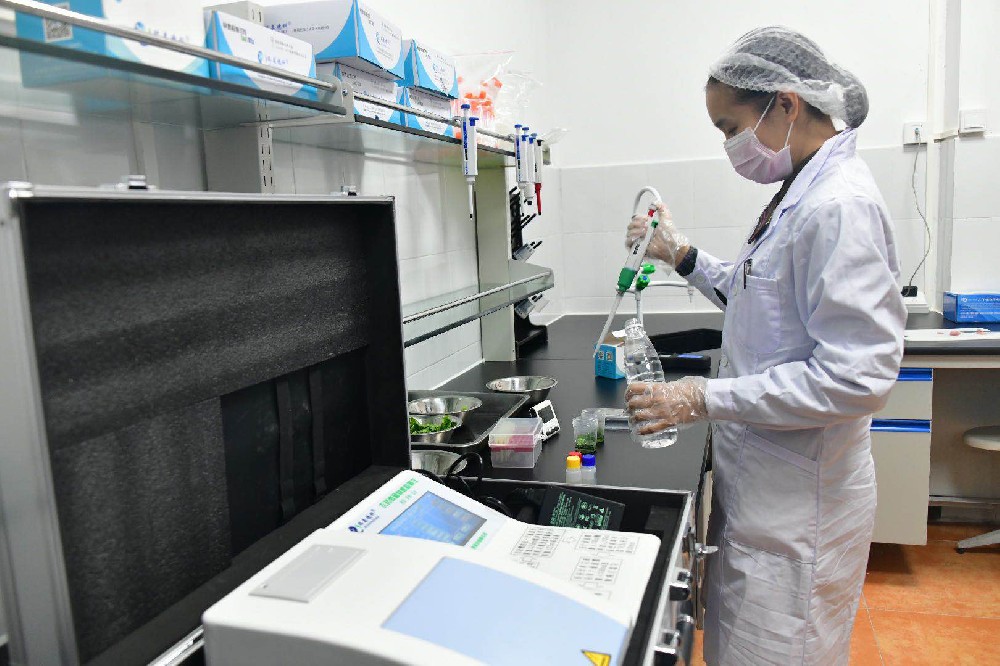 2024年食品安全监督抽检总体合格率9704%(图1)