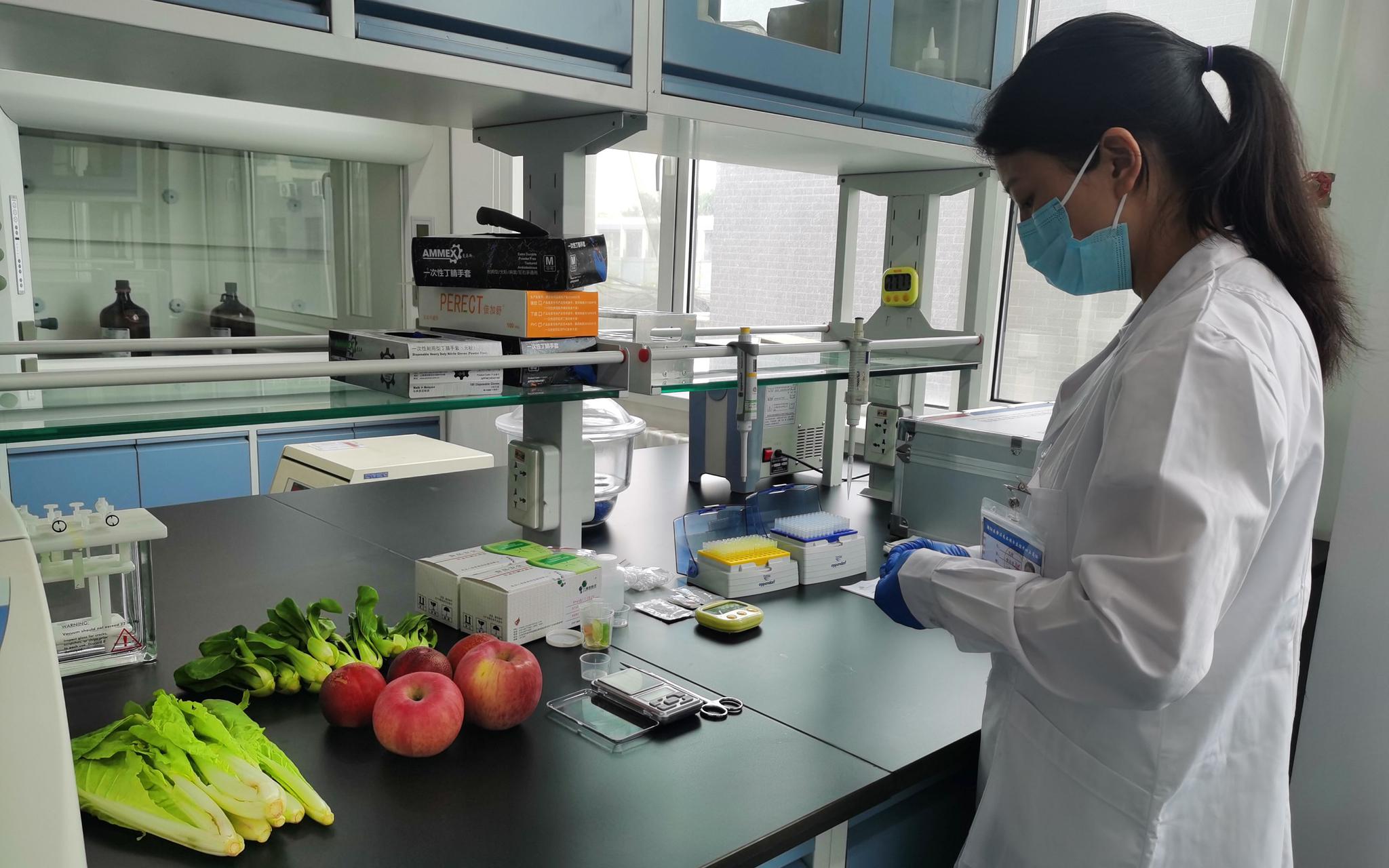 甘肃省华亭市西华镇市场监管所开展“农家乐”食品安全专项检查(图1)