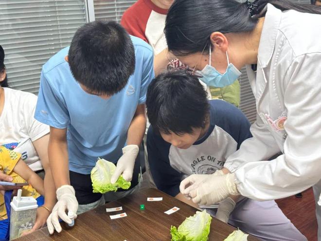 日常吃的食品安全吗？这里进行大揭秘(图2)
