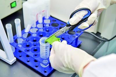 青海省有序推进2025年度全省食品安全抽检监测任务(图1)
