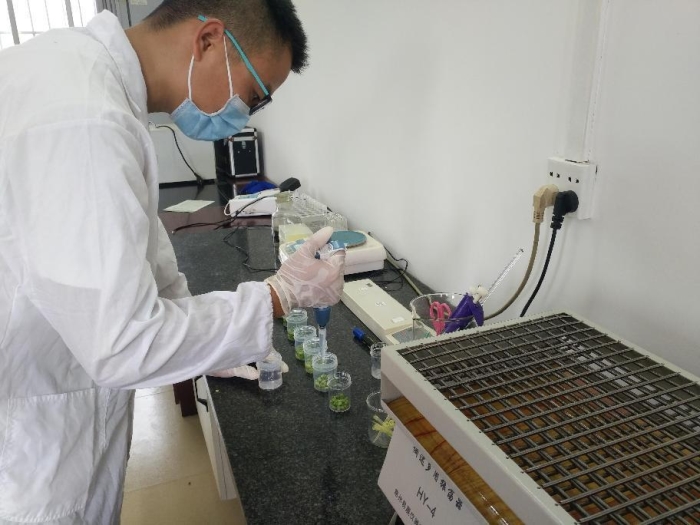 复旦大学附属肿瘤医院大内科X有临医药闭门沙龙破局肿瘤新药研发痛点(图1)