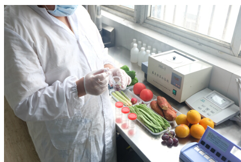 互联网助力果蔬行业革新：健康与品质的新篇章(图1)