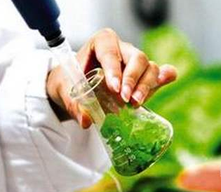农残检测_食品添加剂检测_兽药残留-山东菏泽圣和振诺机构(图1)