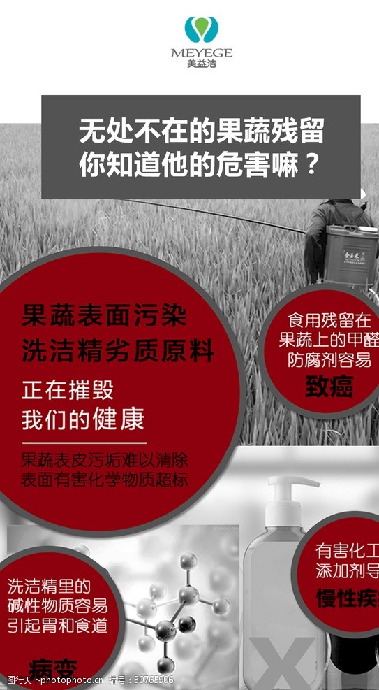 一棵青菜的供港之旅(图1)