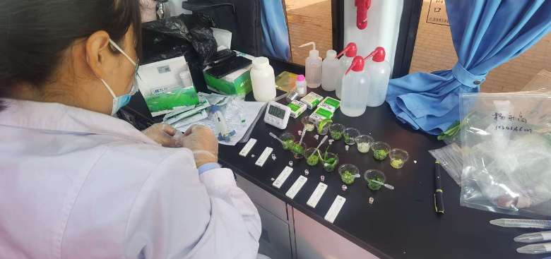 守护年味丨年味愈浓 监管愈暖 市场监管守护新春消费（三）(图1)