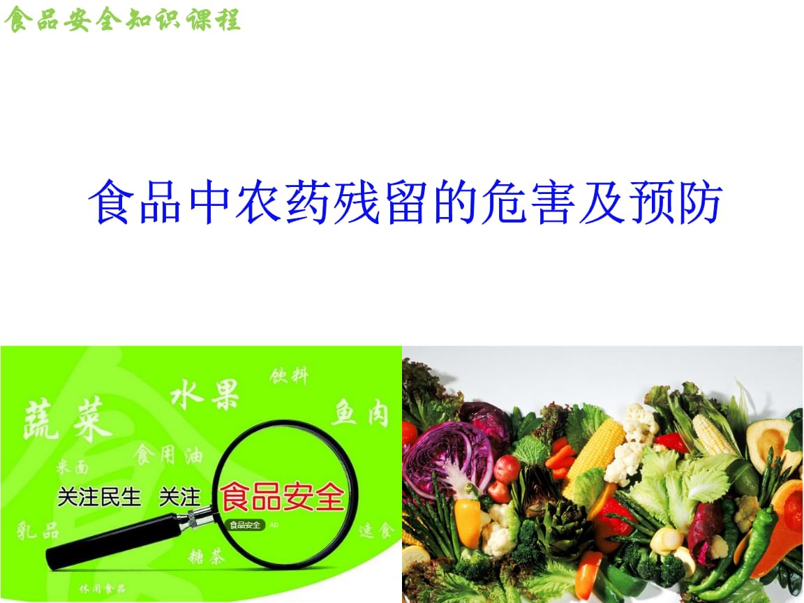 24小时送达！肇庆蔬奶领“鲜”大湾区(图1)