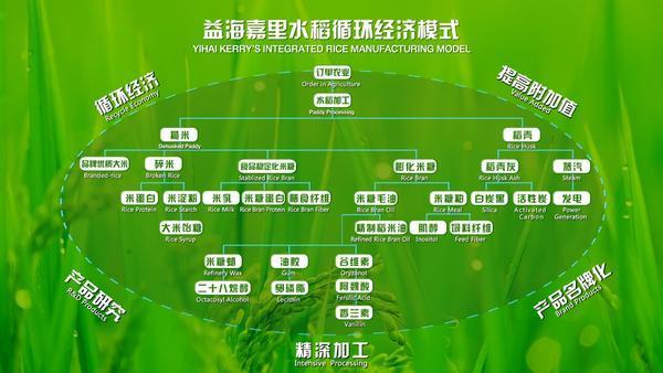 人民日报头版点赞金龙鱼：年超3000万次检测 用数据践行食安承诺(图3)