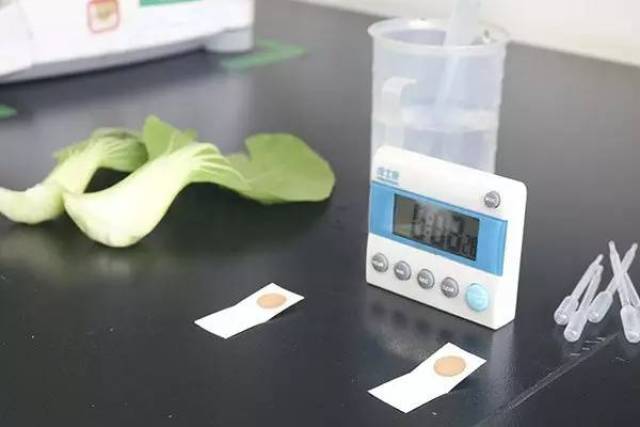 泽普县开展春节前农产品质量安全专项监管行动(图1)