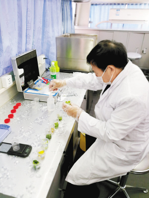 【办实事 惠民生】加强草莓农药残留检测工作 筑牢农产品安全防线(图1)