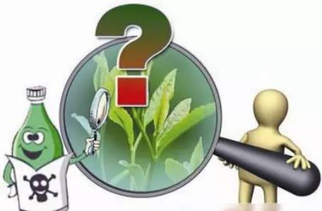 警惕！冻干蓝莓农残超标频发浓缩效应让危害翻倍(图1)