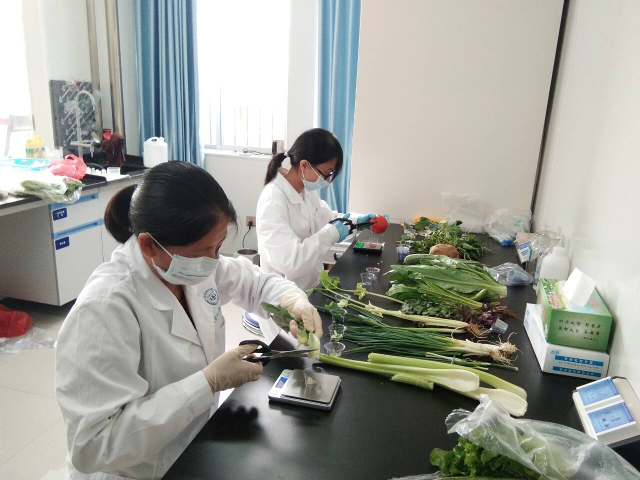 金城春早 大地耕新(图1)