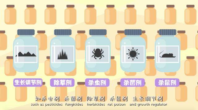 宁波一公园数十棵杨梅树结满果实管理人员提醒：园内杨梅属于景观绿化树种因此喷施农药严禁采摘、禁止食用(图1)