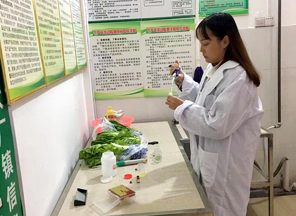 蔬菜中农药残留快速检测技术操作流程及注意事项(图1)