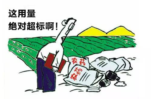 鲜蛋只卖12天蛋品供应链前置到养殖场(图1)
